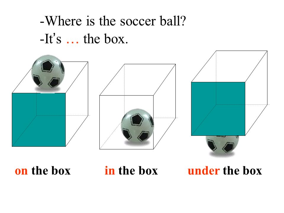 -Where is the soccer ball -It’s … the box.