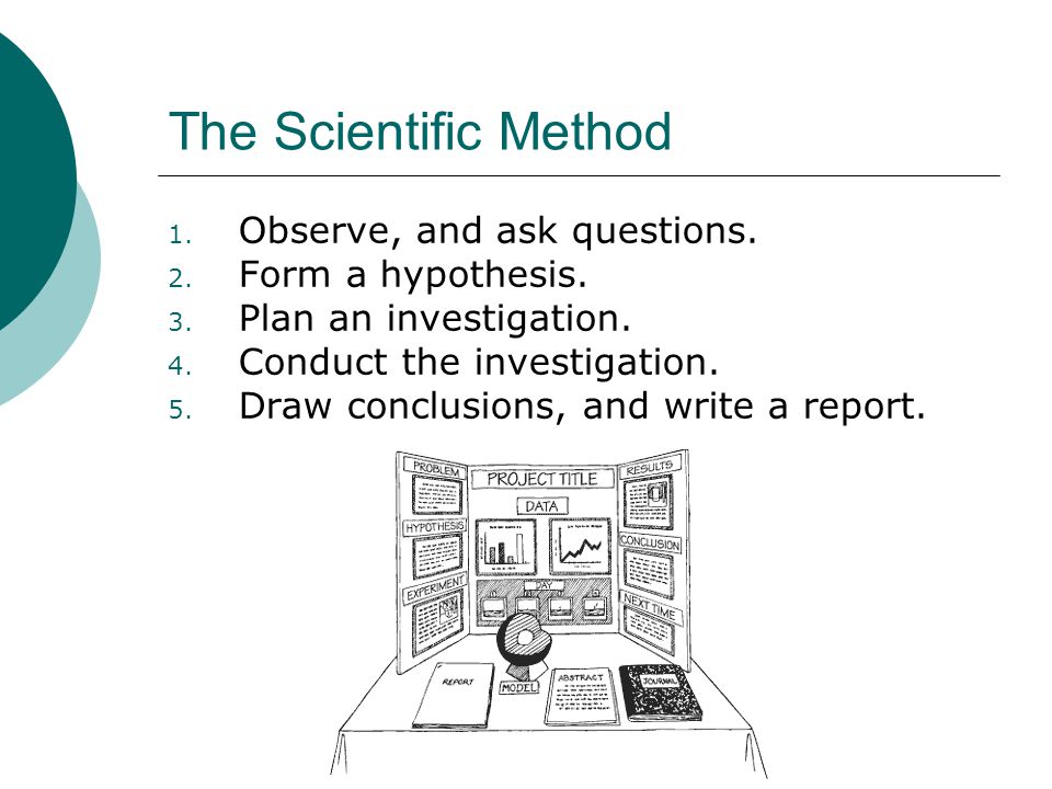 The Scientific Method Observe, and ask questions. Form a hypothesis.