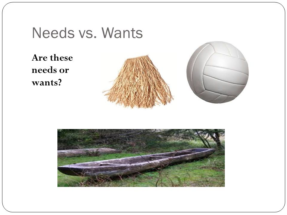 Needs vs. Wants Are these needs or wants