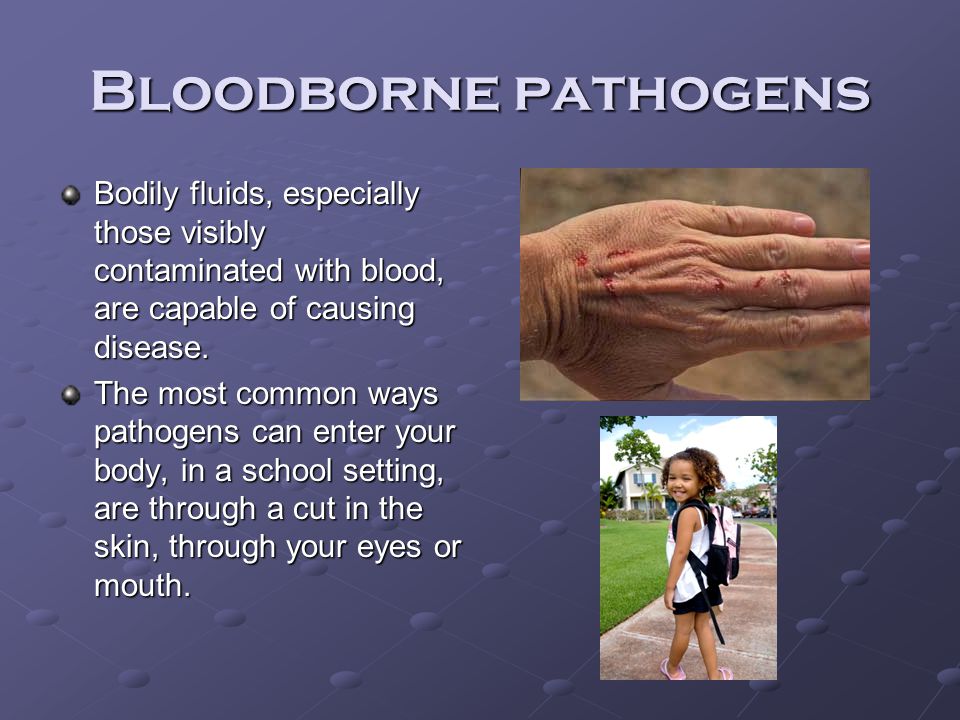 Bloodborne pathogens Bodily fluids, especially those visibly contaminated with blood, are capable of causing disease.