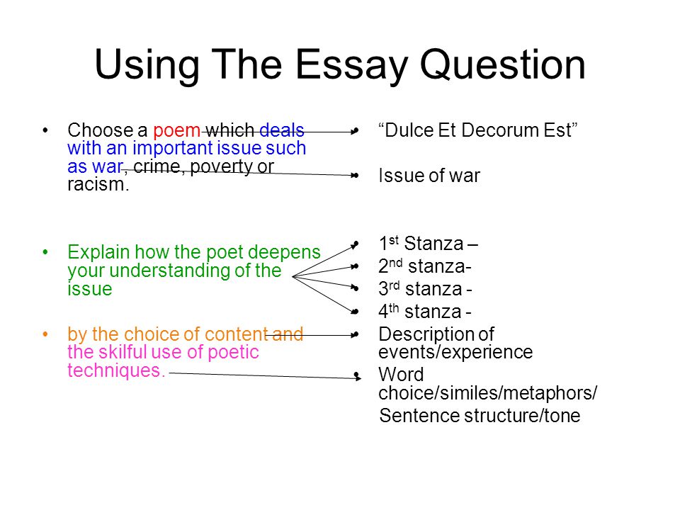 Using The Essay Question