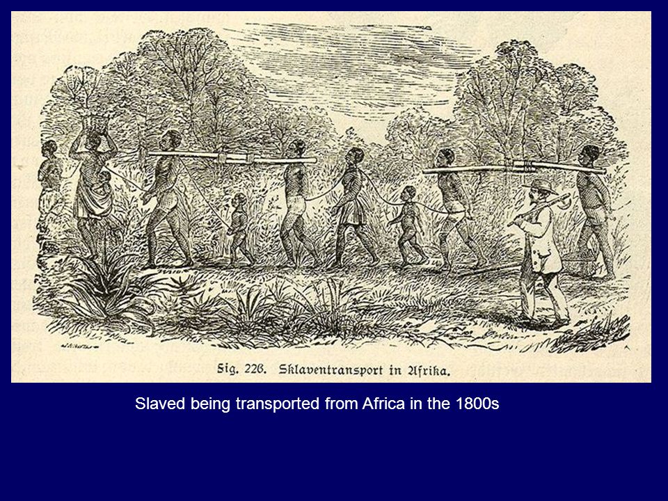 Slaved being transported from Africa in the 1800s