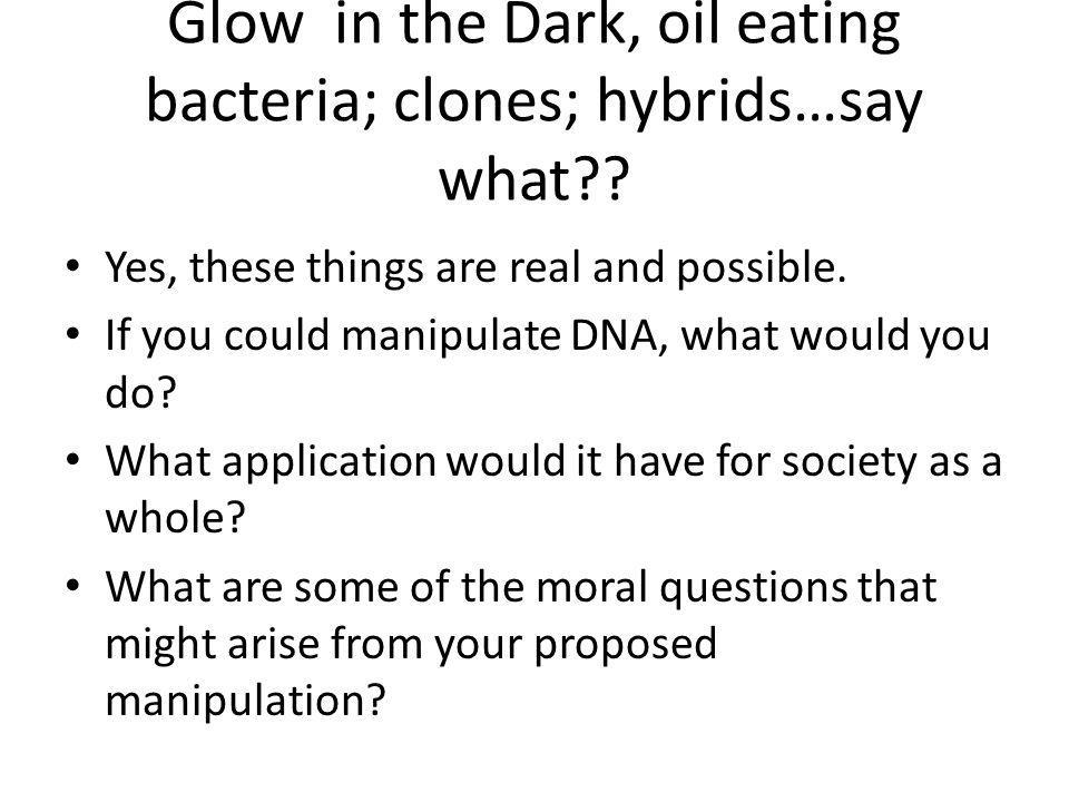 Glow in the Dark, oil eating bacteria; clones; hybrids…say what