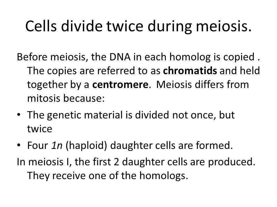 Cells divide twice during meiosis.