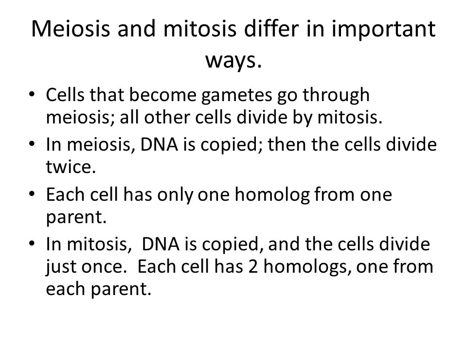 Meiosis and mitosis differ in important ways.