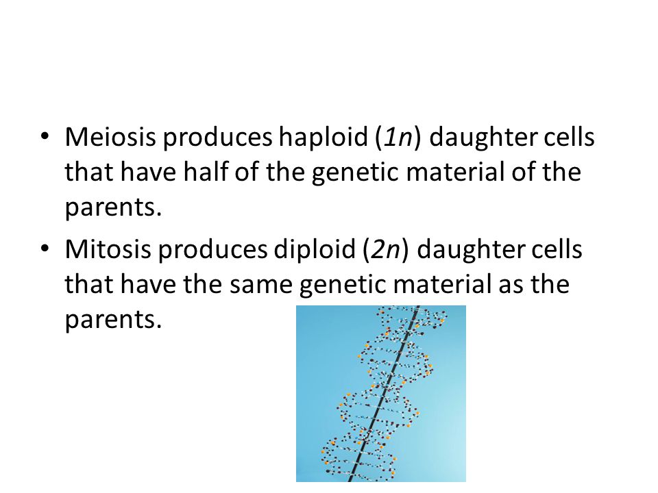 Meiosis produces haploid (1n) daughter cells that have half of the genetic material of the parents.
