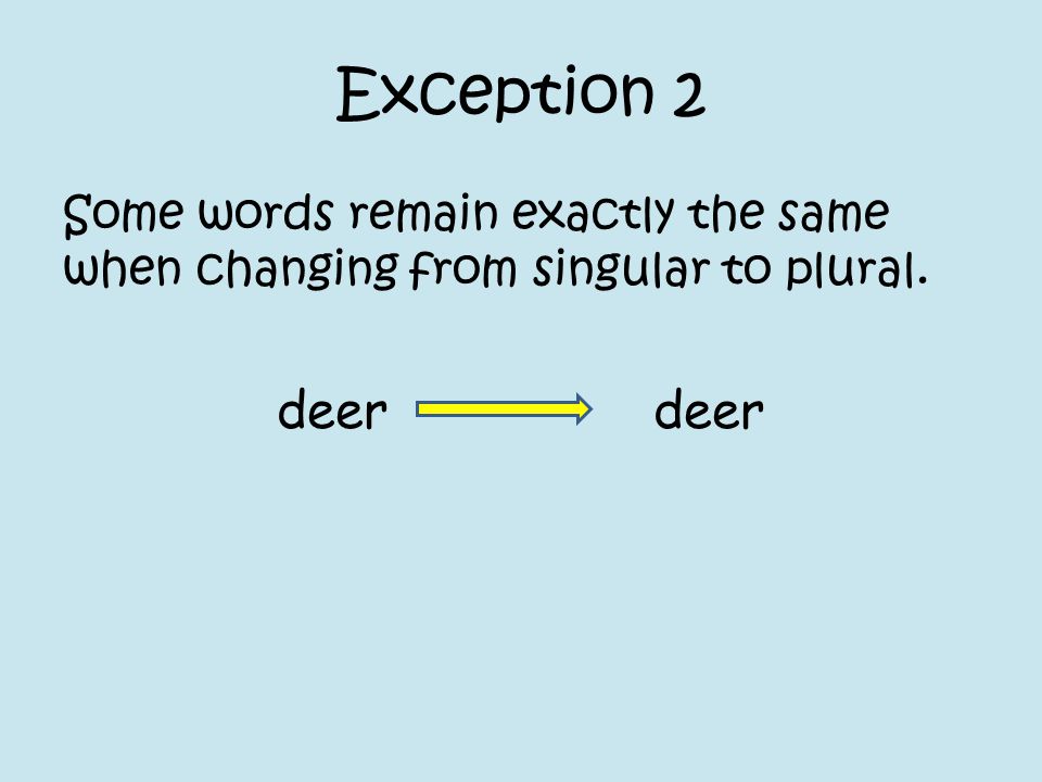 Exception 2 Some words remain exactly the same when changing from singular to plural.
