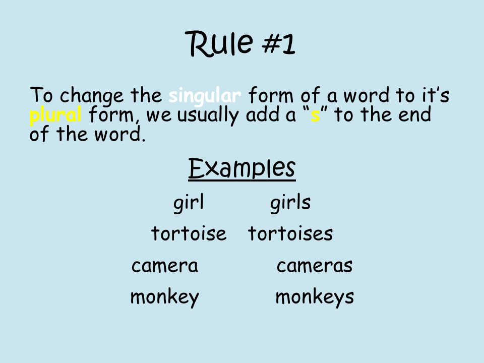 Rule #1 To change the singular form of a word to it’s plural form, we usually add a s to the end of the word.