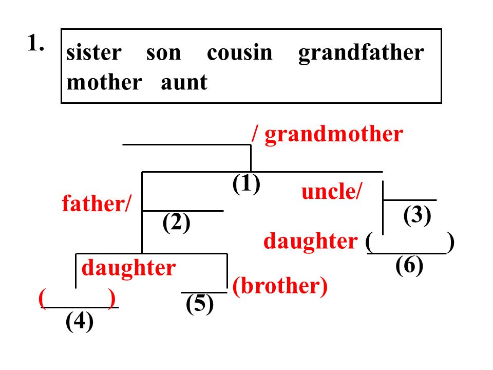 1. sister son cousin grandfather. mother aunt. grandfather. / grandmother. (1) aunt.