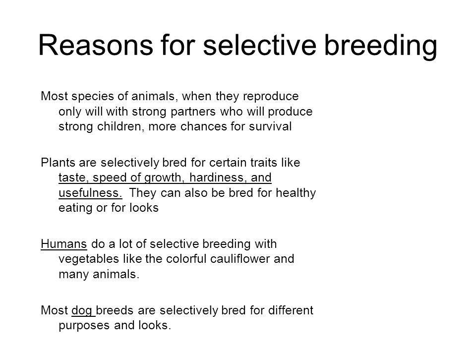 Reasons for selective breeding