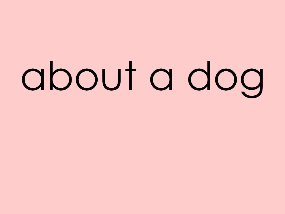 about a dog
