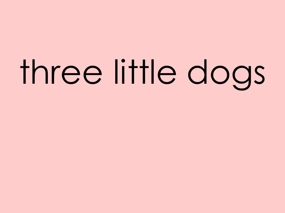 three little dogs