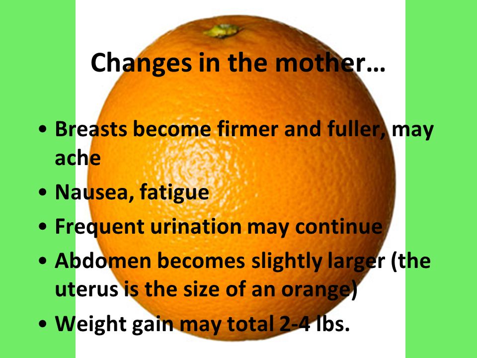 Changes in the mother… Breasts become firmer and fuller, may ache