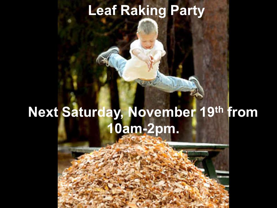Next Saturday, November 19th from 10am-2pm.