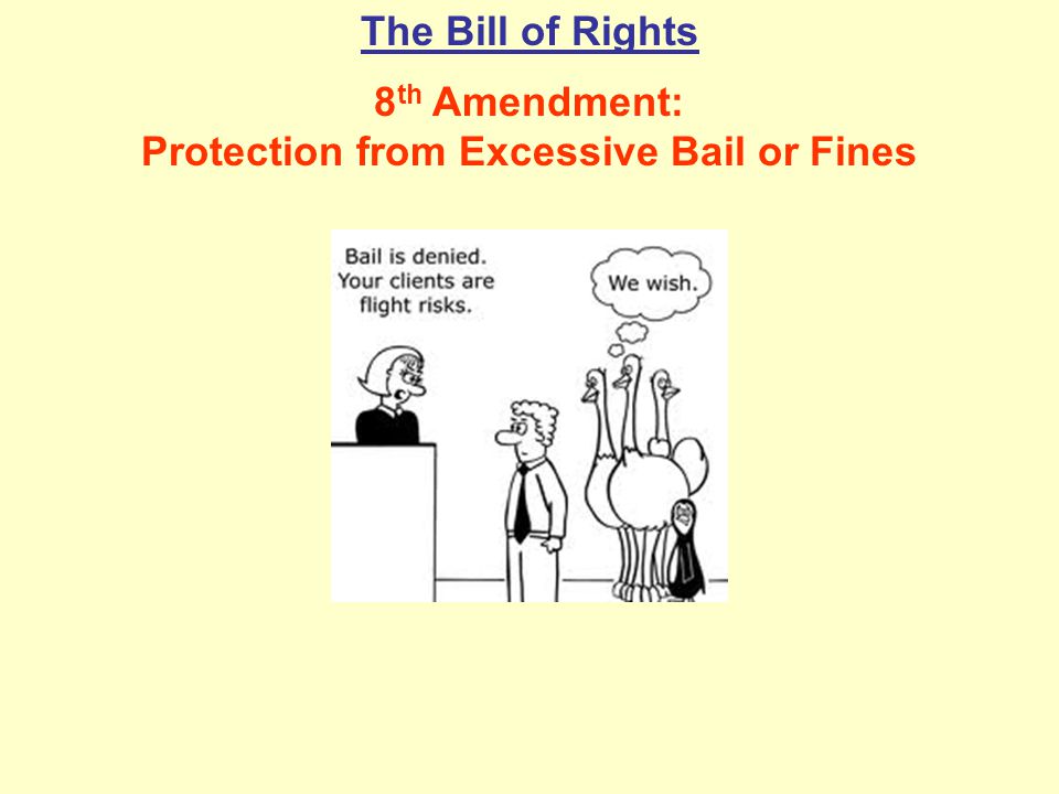 8th Amendment: Protection from Excessive Bail or Fines