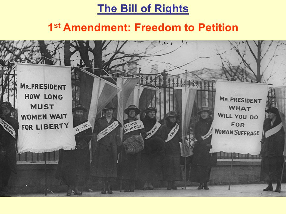 1st Amendment: Freedom to Petition