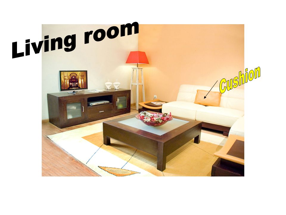 Living room Cushion