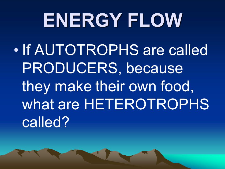 ENERGY FLOW If AUTOTROPHS are called PRODUCERS, because they make their own food, what are HETEROTROPHS called