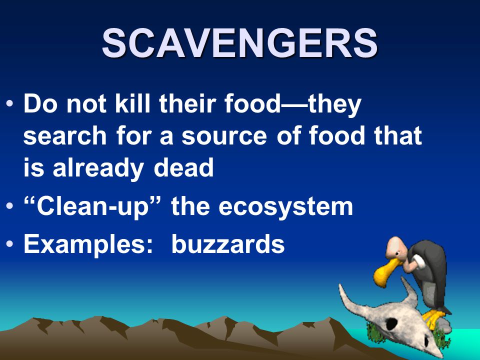 SCAVENGERS Do not kill their food—they search for a source of food that is already dead. Clean-up the ecosystem.
