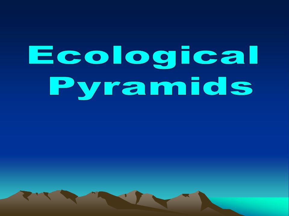 Ecological Pyramids