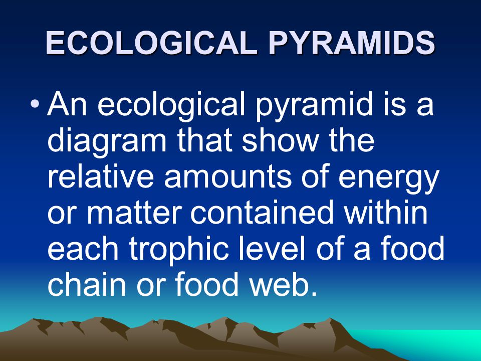 ECOLOGICAL PYRAMIDS