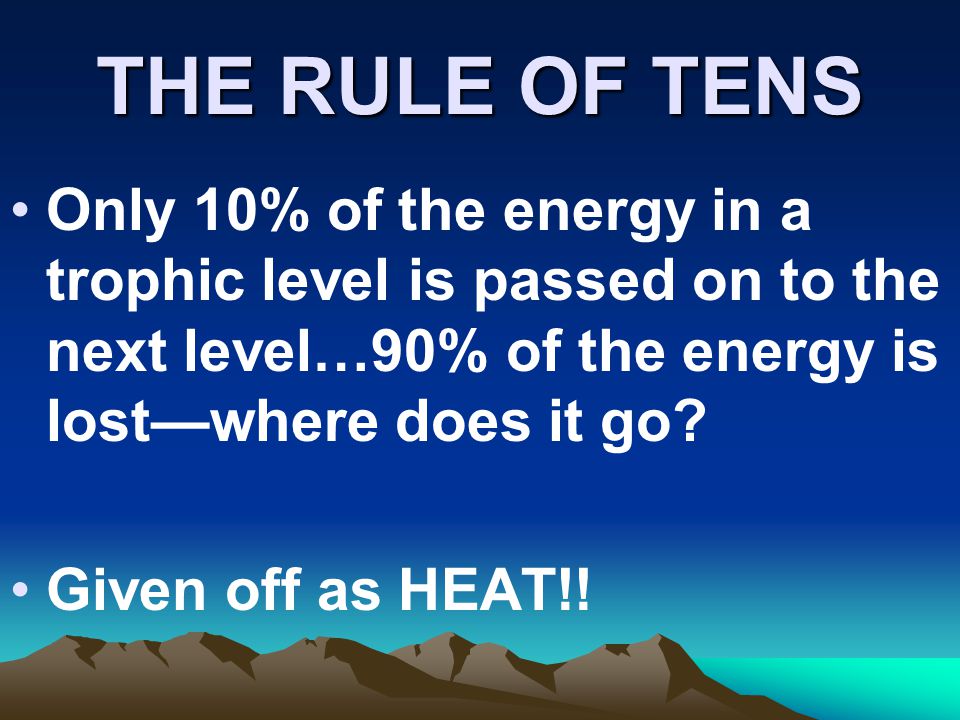 THE RULE OF TENS Only 10% of the energy in a trophic level is passed on to the next level…90% of the energy is lost—where does it go