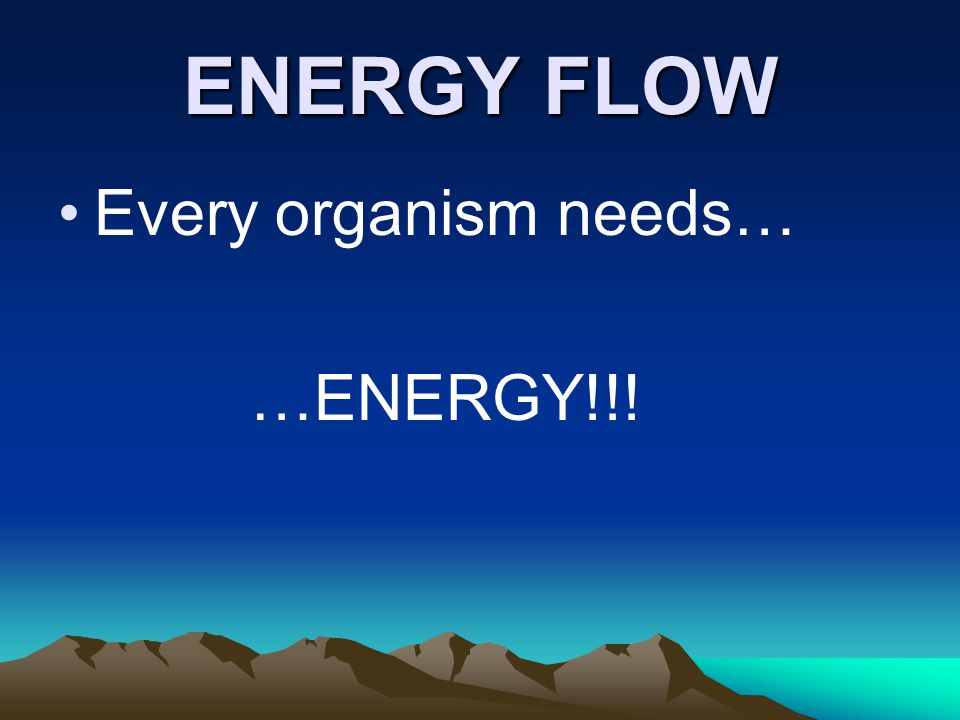 ENERGY FLOW Every organism needs… …ENERGY!!!