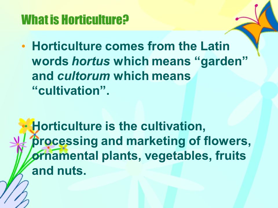 What is Horticulture Horticulture comes from the Latin words hortus which means garden and cultorum which means cultivation .