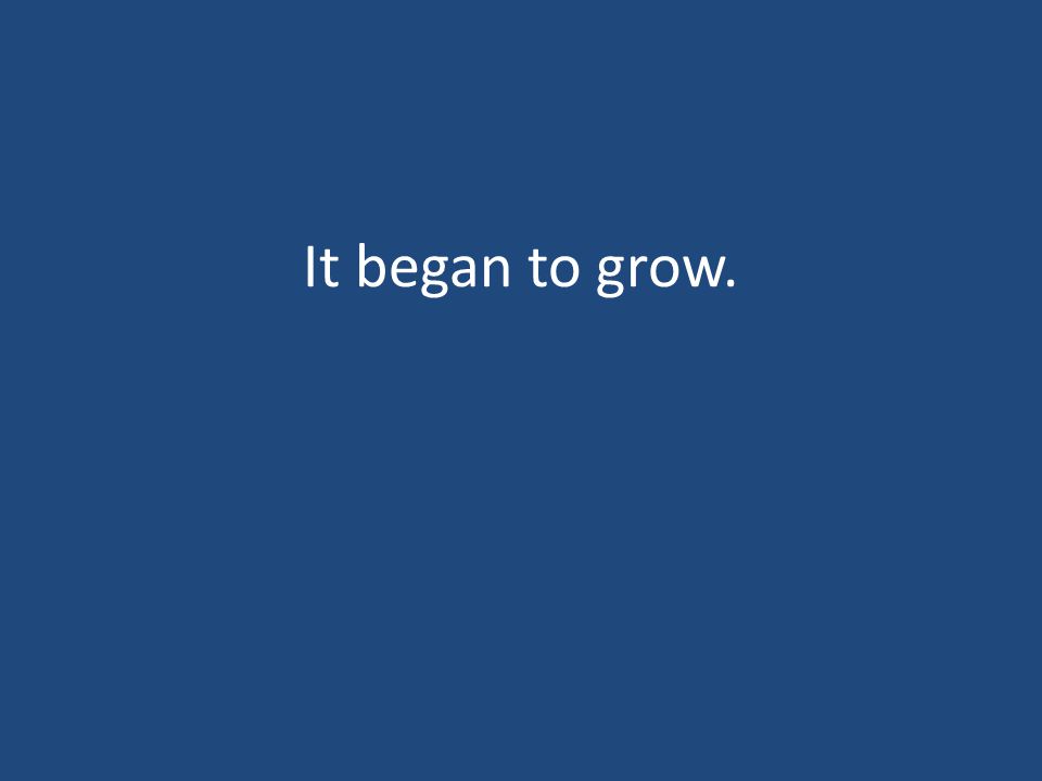 It began to grow.