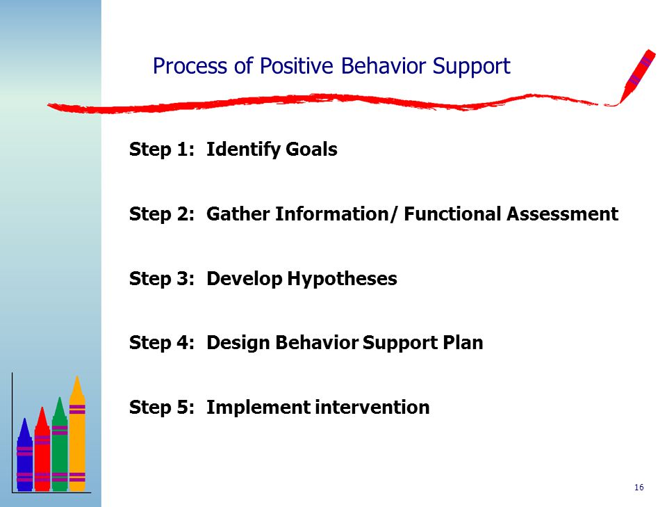Process of Positive Behavior Support