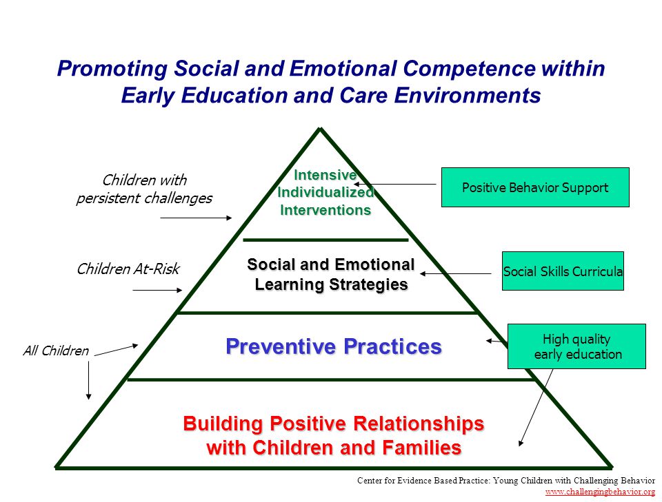 Promoting Social and Emotional Competence within Early Education and Care Environments