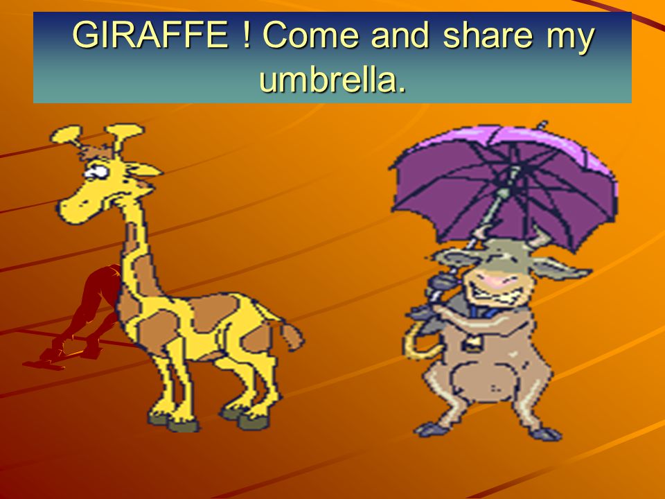 GIRAFFE ! Come and share my umbrella.