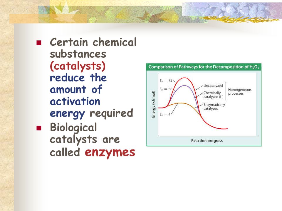 Certain chemical substances (catalysts) reduce the amount of activation energy required