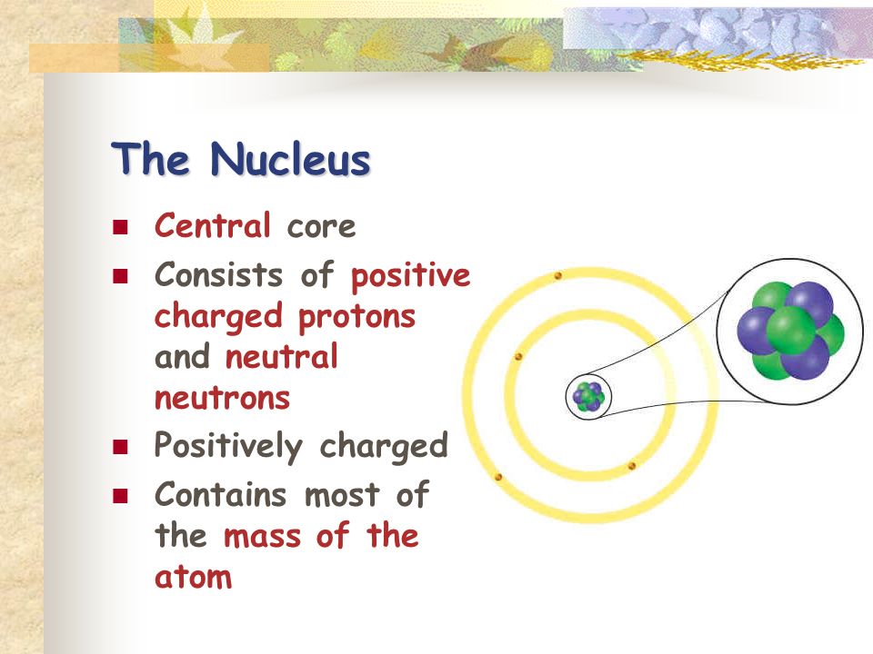 The Nucleus Central core