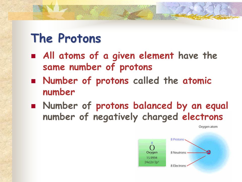 The Protons All atoms of a given element have the same number of protons. Number of protons called the atomic number.