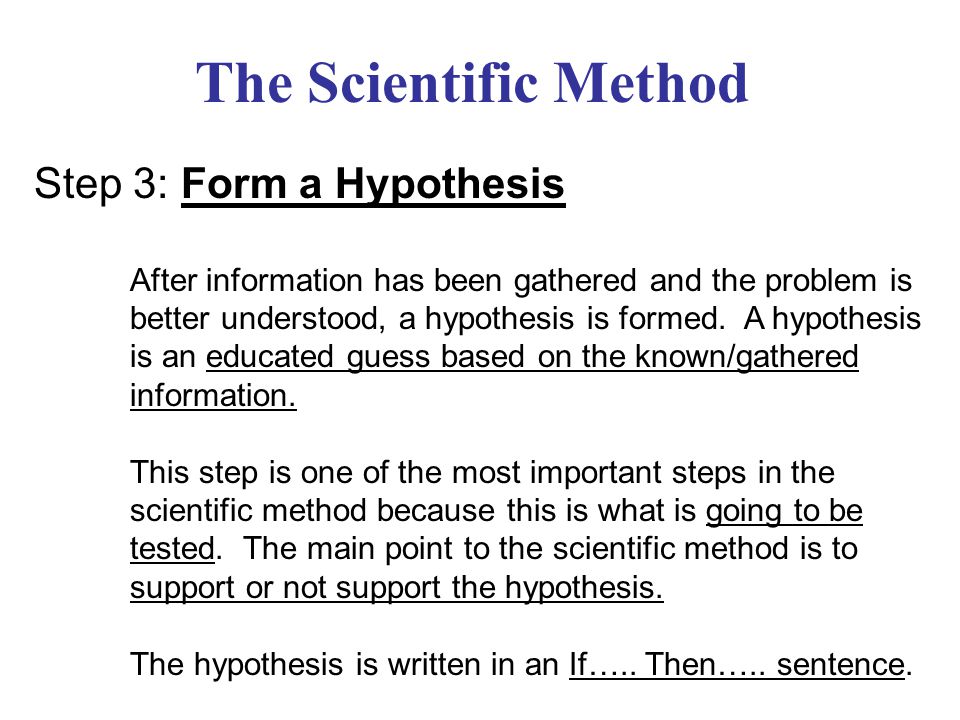 The Scientific Method Step 3: Form a Hypothesis