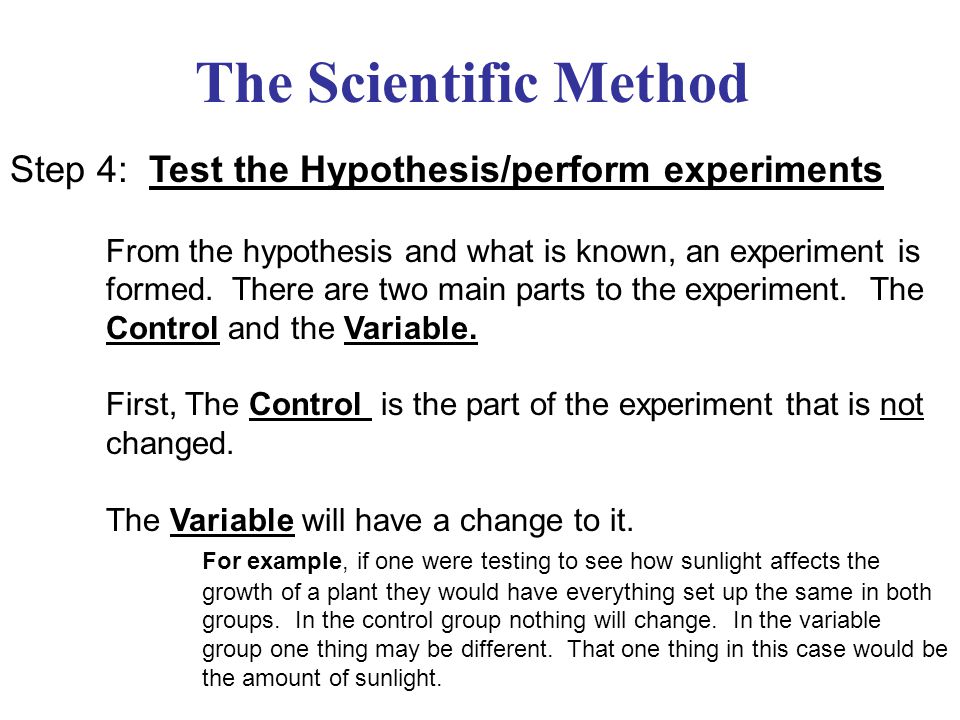 The Scientific Method Step 4: Test the Hypothesis/perform experiments