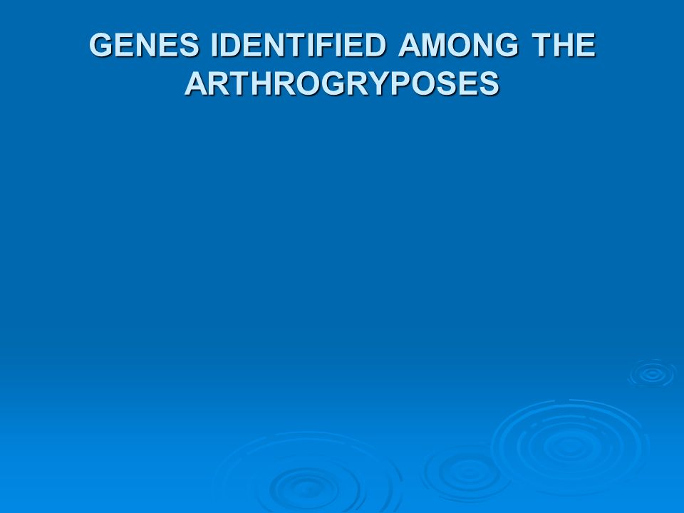 GENES IDENTIFIED AMONG THE ARTHROGRYPOSES