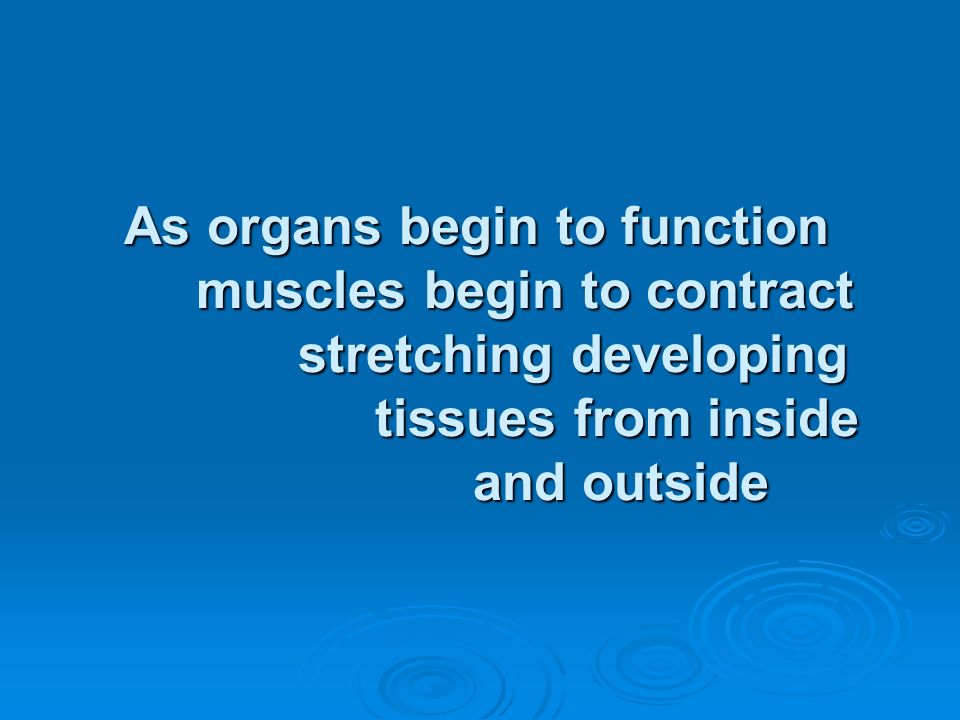 As organs begin to function. muscles begin to contract