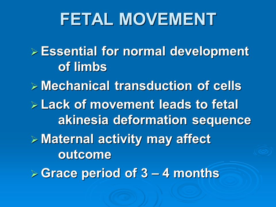 FETAL MOVEMENT Essential for normal development of limbs