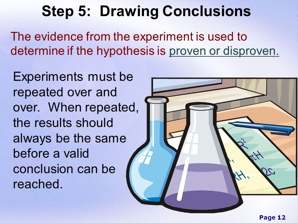 Step 5: Drawing Conclusions