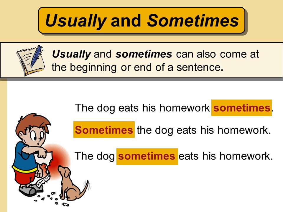 Usually and Sometimes Usually and sometimes can also come at the beginning or end of a sentence. The dog eats his homework sometimes.