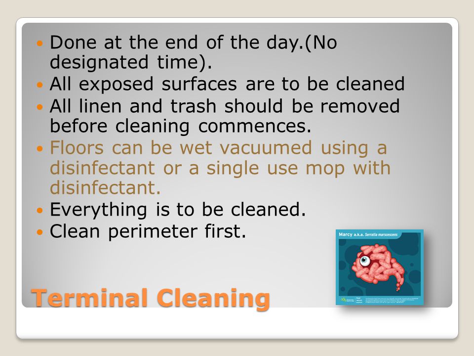 Terminal Cleaning Done at the end of the day.(No designated time).
