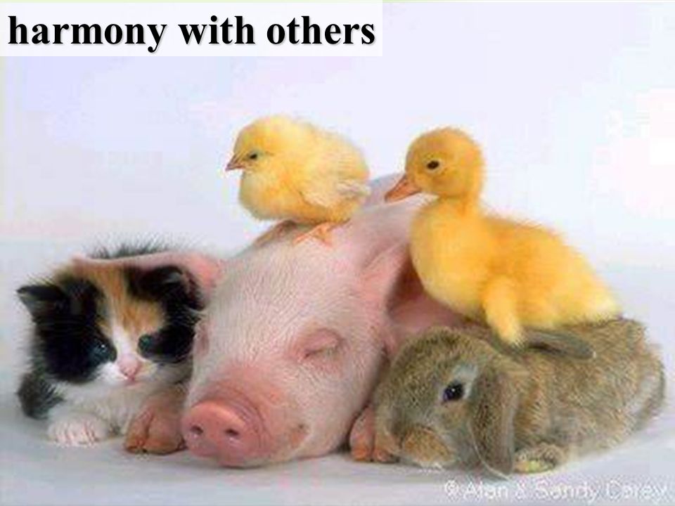 harmony with others