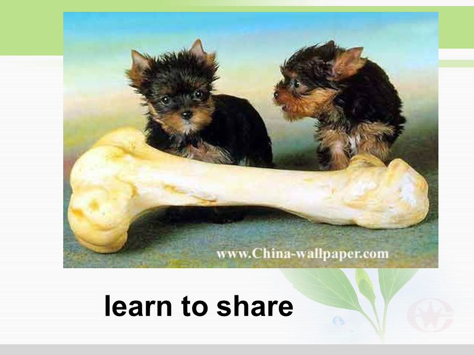 learn to share
