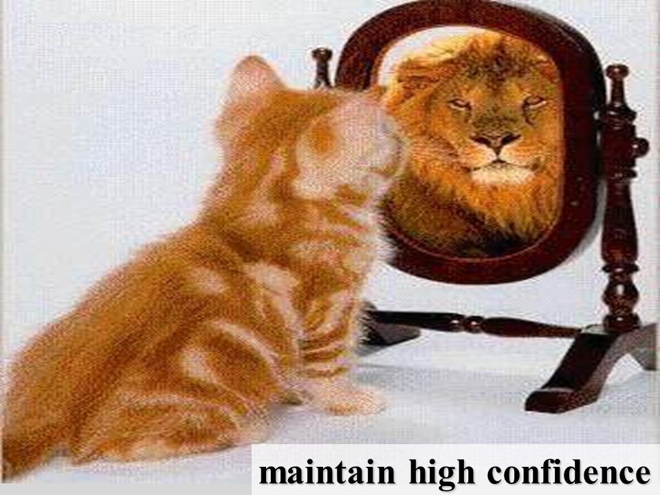 maintain high confidence