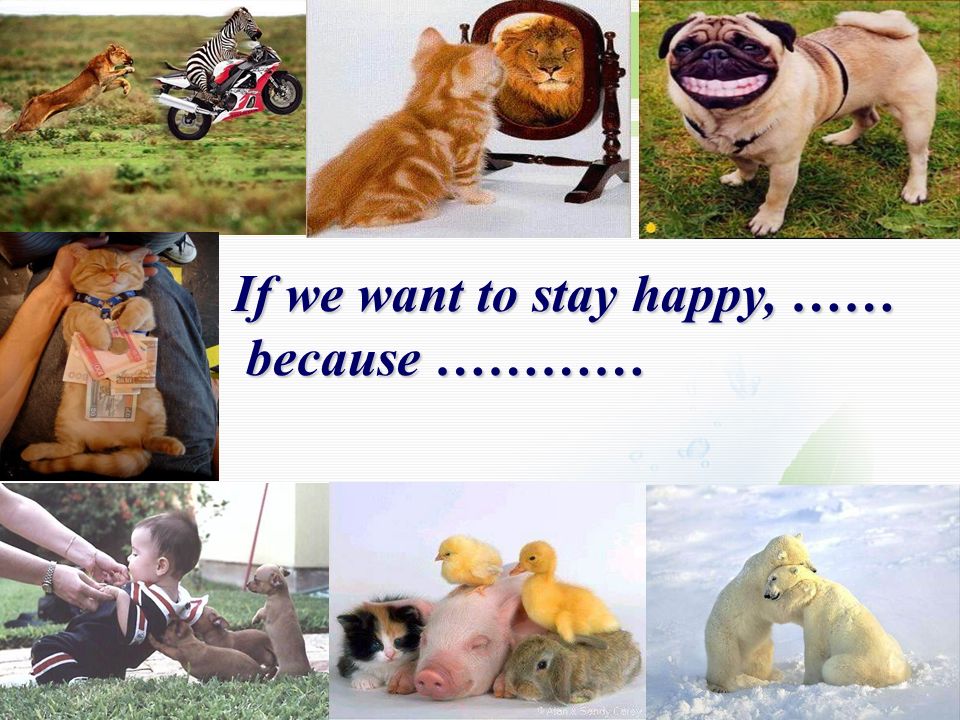If we want to stay happy, ……