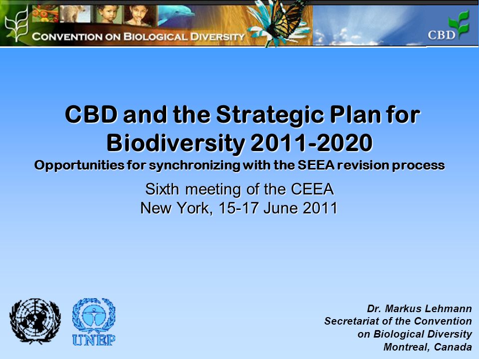 CBD and the Strategic Plan for Biodiversity Opportunities for synchronizing with the SEEA revision process Sixth meeting of the CEEA New York, June 2011