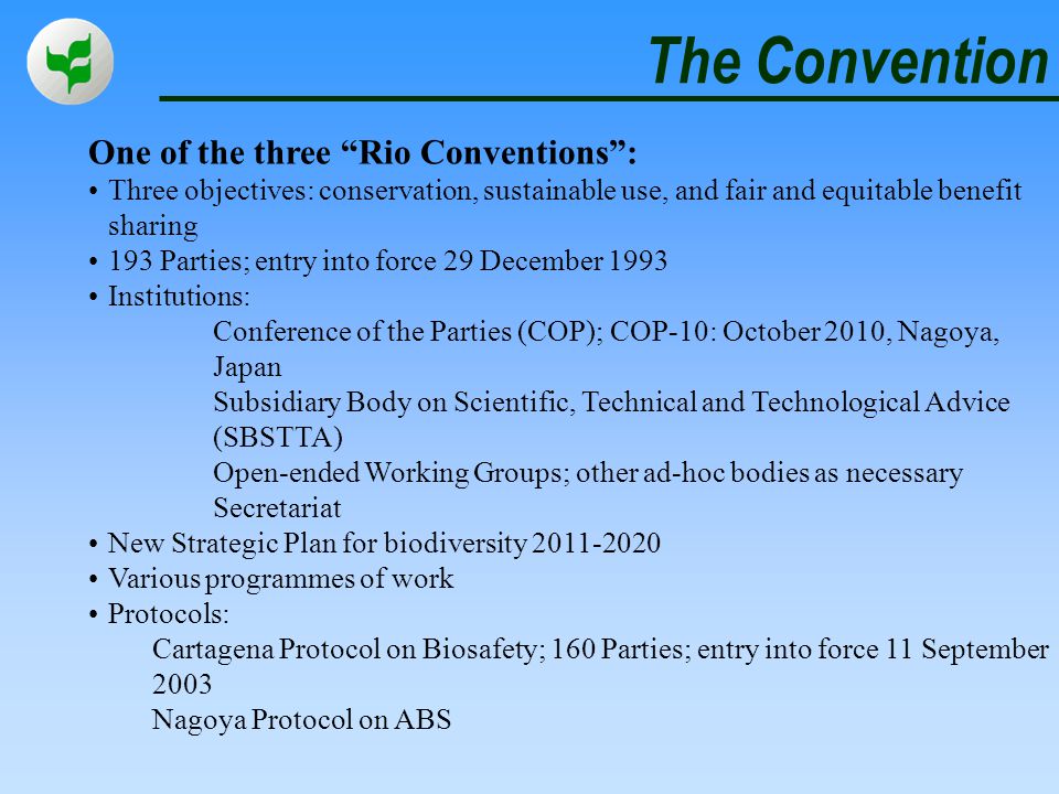 The Convention One of the three Rio Conventions :