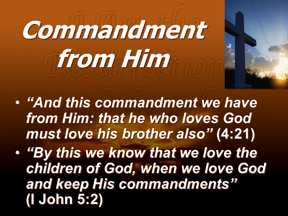 Commandment from Him And this commandment we have from Him: that he who loves God must love his brother also (4:21)